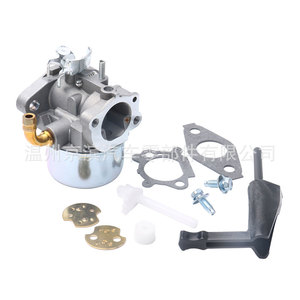 Carburateur Briggs Stratton C6-798653 pour 798653 697354 791077 790290, pièce de rechange mécanique - Product Image 1