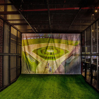Simulateur de baseball personnalisé Suneye pour adultes, simulateur sportif en gros pour aire de jeux intérieure, parc d'attractions