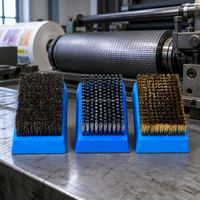 Brosse de nettoyage en gros pour rouleaux Anilox, nettoyeur de rouleaux flexographiques en céramique et métal pour l'élimination des résidus d'encre et de la rouille en usine