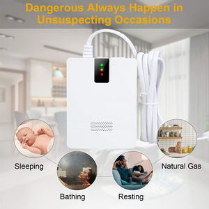 En iyi fiyat LPG LNG gaz dedektörü AC 90V- 240V doğal gaz alarm ev ve mutfak ürünleri - Product Image 3