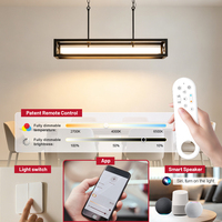 Premium Lange Käfig-Pendelleuchte Rechteckig Esszimmer Küche Dimmbar Acrylabdeckung Höhenverstellbarer Kronleuchter