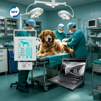 Kablosuz Veteriner Röntgen Cihazı Dijital DR Röntgen Dedektörü Taşınabilir Veteriner Görüntüleme Sistemi Evcil Hayvan Köpek Kedi At Tanısı için