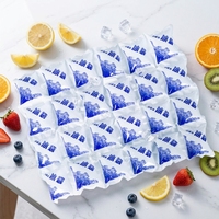 Plaque de gel froid jetable, souple, de qualité alimentaire, pour l'expédition et le transport de denrées alimentaires