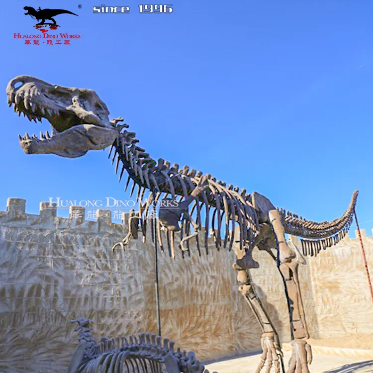 Simulation Dinosaur Fossil Skeleton Model