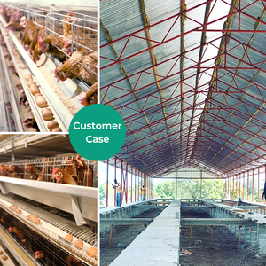 Trứng Chăn Nuôi Gà Hai Lớp Một Loại 4 Tier 2000 Chim Pin Lồng Cho Bán Gia Cầm Trang Trại Đẻ Gà Tự Động Algeria - Product Image 6