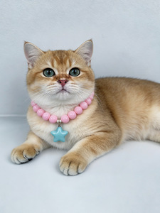 Collar de Corazón Color Caramelo Kawaii para Mascotas, Gargantilla con Cuentas de Estilo Dulce y Colgante de Acrílico con Corazón para Gatos y Perros Pequeños - Product Image 5