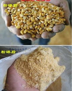 เครื่องตัด<span class=keywords><strong>แกลบ</strong></span>เครื่องบดข้าวโพดแบบขายดี - Product Image 6