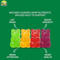 Offre Spéciale – Petites Quantités – Gummies Naturels 600mg – Saveur Fruitée Fraîche – Bonbons Gélifiés à l'Huile de Graines de Chanvre pour la Relaxation Musculaire