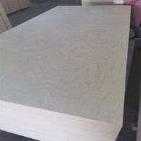 Fabricant de contreplaqué Shandong Linyi marine/meubles en contreplaqué imperméable/contreplaqué de bouleau 3mm/18mm