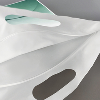 Sac d'emballage pour vêtements imperméables avec fermeture éclair givrée, logo personnalisé imprimé offset, sac en plastique refermable avec poignée pour literie