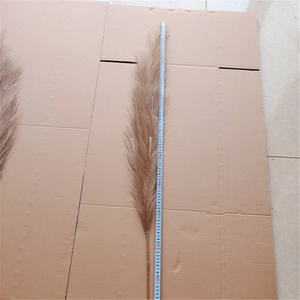 Pampas-Servicio de Inspección de hierba, control de calidad de inspección de tres partes, en la zona de Shandong Yunnan - Product Image 5