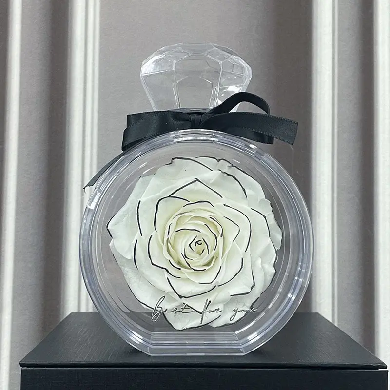 Cadeau de Saint-Valentin coloré de qualité parfaite Transparent acrylique amour fleur Art Rose fleur préservée en boîte