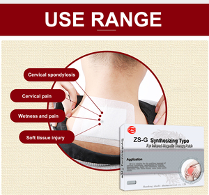 Gesso chinês eficaz para Alívio Da Saúde Do Corpo Alvos Músculo Pescoço Ombro Volta Articulação Da Artrite e Entorses Dor - Product Image 3