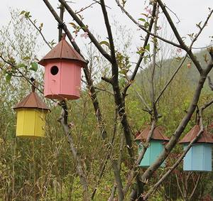 2021 neues Massivholz-Familien vogelnest im Innen-und Außenbereich - Product Image 5