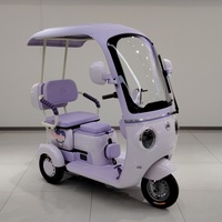 Nouveau tricycle électrique pour adultes en vente