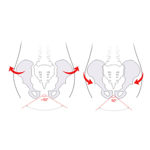 Addestratore di correzione del bacino glutei e coscia Beauty <span class=keywords><strong>Trainer</strong></span> per allenamento dell'anca per le donne <span class=keywords><strong>Trainer</strong></span> per il muscolo del pavimento pelvico - Product Image 5