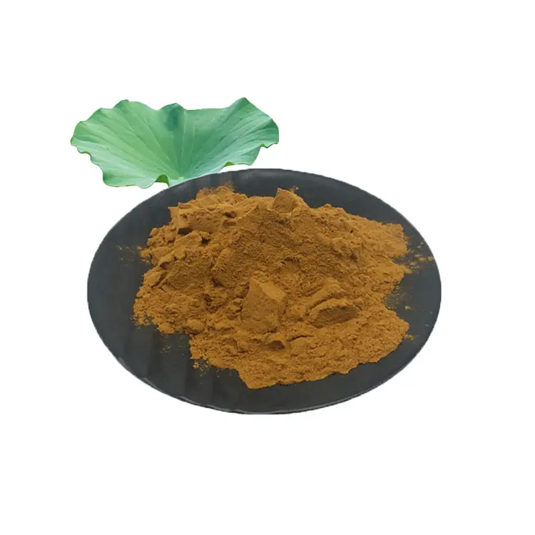 Bubuk ekstrak daun teratai 10:1 alami 1% bubuk Nuciferine daun Alkaloid Lotus 4% nukiferin