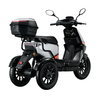 Scooter électrique à 3 roues en alliage d'aluminium 1000W, moteur sans balais, batterie au lithium étanche, autonomie de 110 km pour adultes et personnes âgées