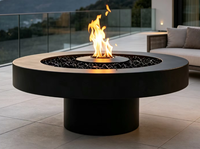 Brasero autoportant en acier moderne pour chauffage et cuisson extérieure, idéal pour villas/hôtels, compatible bois/gaz/alkohol/électrique, garantie 5 ans