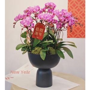 فالاينوبسيس خاص غير لامع تصميم عصري راقي أسود فازة فنية مجموعة زهور كبيرة عالية القدم - Product Image 3