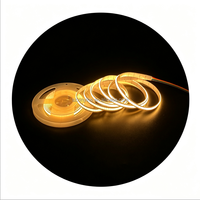 Bande lumineuse COB bicolore 12V 8mm 576 LED/m 3000K-6000K Blanc chaud Blanc IP20 Silicone auto-adhésif pour décoration Populaire