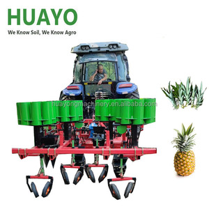 2025 Bán hàng nóng dứa cây giống cấy - Product Image 2