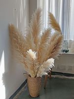 Plantes de la pampa conservées Bouquet de fleurs séchées Boho décor de Table pampa brune herbe blanche pour les mariages décor à la maison fêtes rustiques