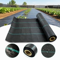 Toile de paillage tissée en PP robuste avec protection UV pour serres agricoles et couverture de sol de jardin