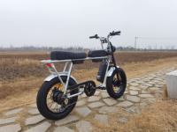 Vélo électrique à double moteur 750W, longue autonomie, cadre en alliage d'aluminium, batterie lithium 15Ah, freins à disque hydrauliques, selle longue, pneus larges 20 pouces