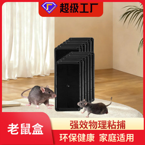 แผ่นกาวดักหนูพลาสติก กันน้ำ ใช้แล้วทิ้ง สำหรับควบคุมหนูในบ้าน - Product Image 3