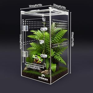 Cajas <span class=keywords><strong>de</strong></span> exhibición <span class=keywords><strong>de</strong></span> acrílico personalizadas al por mayor <span class=keywords><strong>de</strong></span> fábrica para tarántulas, insectos, <span class=keywords><strong>mantis</strong></span>, caracoles y orugas - Product Image 5