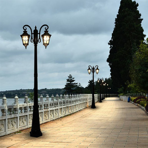 6 7 8 9 Meter Solar Street <b>Lamp</b> Pole with One Two Arm Solar Lights Outdoor Street Lighting Pole - Product Image 5