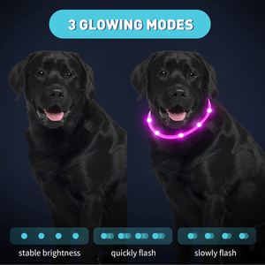 Waterproof Night Safety Luminous Flashing Glowing Light up Led <b>Pet</b> Dog Collar USB Rechargeable for Puppies Loss Prevention - Product Image 3