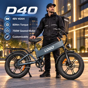 Vélo cargo électrique D40, moteur 750W, batterie 48V 40AH, pneus 20x4, frein à disque, vélo électrique personnalisable OEM - Product Image 1