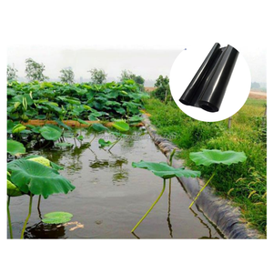 0.5Mm 0.75Mm 1.0Mm Đen Xanh <span class=keywords><strong>Hdpe</strong></span> Kết Cấu Mịn Không Thấm Nước Giá Rẻ <span class=keywords><strong>Geomembrane</strong></span> Fish Farm Pool Pond <span class=keywords><strong>Liner</strong></span> Giá Nhà Sản Xuất - Product Image 1