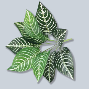 Feuilles de Monstera rayées artificielles Mengjie, plantes vertes de 30 cm à 100 cm, PVC souple, décoration intérieure, accessoires de mariage - Product Image 1