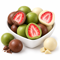 Fraises lyophilisées enrobées de chocolat en gros, bonbons aux fruits FD, chocolat composé, en vrac, Halal, OEM, emballage personnalisé, snacks classiques
