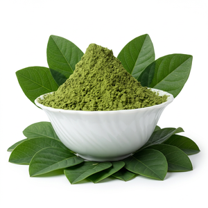 Polvo de hoja de Indigo, venta al por mayor, fabricante de polvo de alta calidad en India, bajo precio - Product Image 1