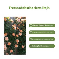 P465 Bac de culture pour plantes grimpantes, pot combiné extérieur pour balcon, pot de culture de légumes, bac de plantation pour plantes vertes