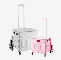 Chariot de shopping pliable d'extérieur avec poignée télescopique pour le camping