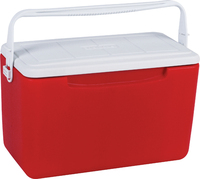 Glacière isotherme portable personnalisée 26L en PE pour camping, plage, pique-niques, usage hospitalier - Écologique, étanche, pour canettes de vin