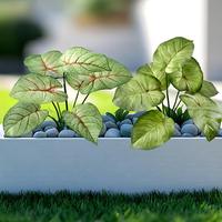 Feuilles artificielles de Caladium Bicolor en vrac pour la décoration intérieure du salon