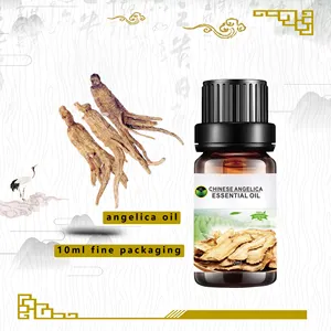 Alll Natural Herbal Oils Lieferant, Großhandel Chinese Wild Angelica Root Ätherisches Öl 100% rein | Therapeut ische Qualität, unverdünnt