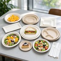 Assiette ronde en bagasse de canne à sucre compostable, assiette blanche jetable biodégradable, assiette de dîner résistante et utilisable au micro-ondes