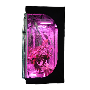 Portable 600D <span class=keywords><strong>toile</strong></span> PE matériel multicouche LED élèvent le Kit complet de tente de lumière <span class=keywords><strong>pour</strong></span> les serres de jardin hydroponiques - Product Image 1