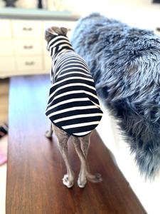 Qiqu Pet Shop Online Product Zwart-wit Gestreepte Voor Hond Italiaanse Windhond Whippet Sighthound Comfortabele Kleine Ras - Product Image 3