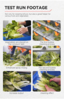 Mesin Cuci dan Pengering Sayuran dan Buah, untuk Tomat, Kentang, Wortel, Jahe, Ubi, dan Buah Mangga
