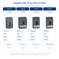Disjoncteur miniature Schneider MCCB EasyPact CVS BS 25kA FS 35kA NM 50kA 3P 4P CVS63 à CVS630 Original et Neuf 100%