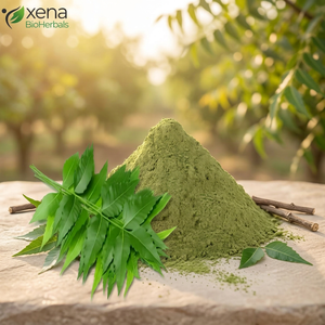 Fabricant d'extrait naturel de feuilles de Neem, fournisseur en gros de poudre d'extrait de feuilles de Neem de qualité - Product Image 1