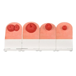 Modelo de Ostomía Fecal de Simulación de Mesa, Modelo de Cuidado de Ostomía para Entrenamiento de Enfermeras - Product Image 3